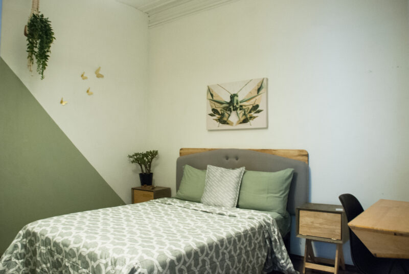 Small private room with shared bathroom in Mexico City. Hostel