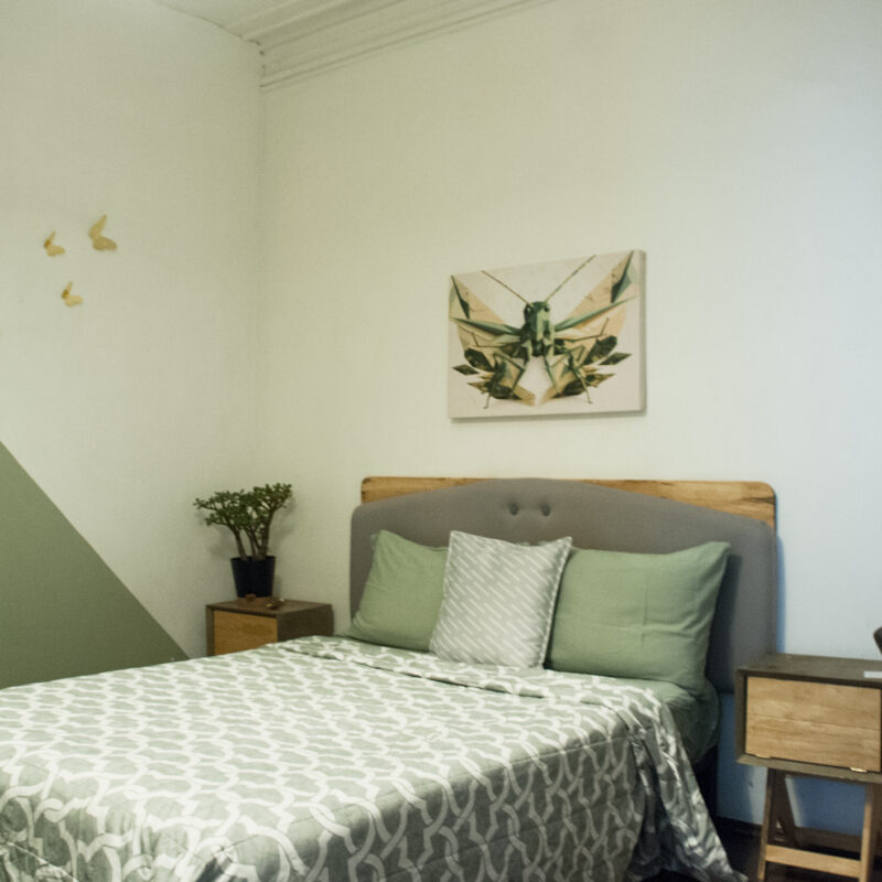 Small private room with shared bathroom in Mexico City. Hostel