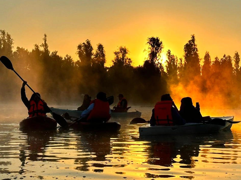 Kayak in Xochimilco