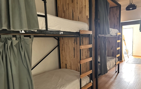 Wolf Mixed Dorm